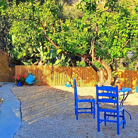 Aegean Serenity - Sea View Retreat Archangelos  Dış mekan fotoğraf